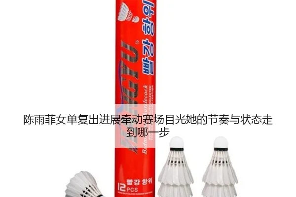陈雨菲女单复出进展牵动赛场目光她的节奏与状态走到哪一步 - leqiu
